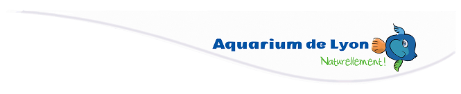 E-billet bambin Aquarium de Lyon - Validité 03/07/2024